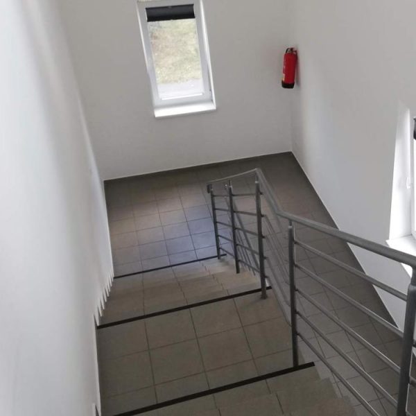 Malířství Praha Malířství Praha