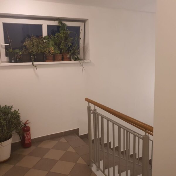 Výmalba chodby SVJ Výmalba chodby SVJ